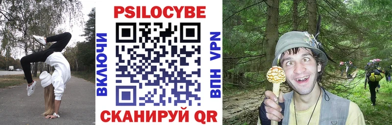 купить наркотики цена  Поронайск  Псилоцибиновые грибы GOLDEN TEACHER 